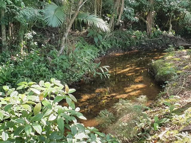 Sítio e chácara venda em Região Geográfica Imediata de Paranaguá, Morretes