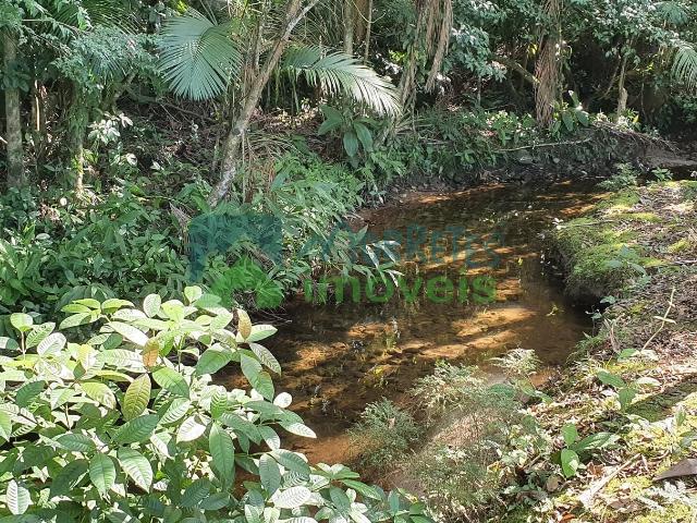 Sítio e chácara venda em Amantanal, Morretes