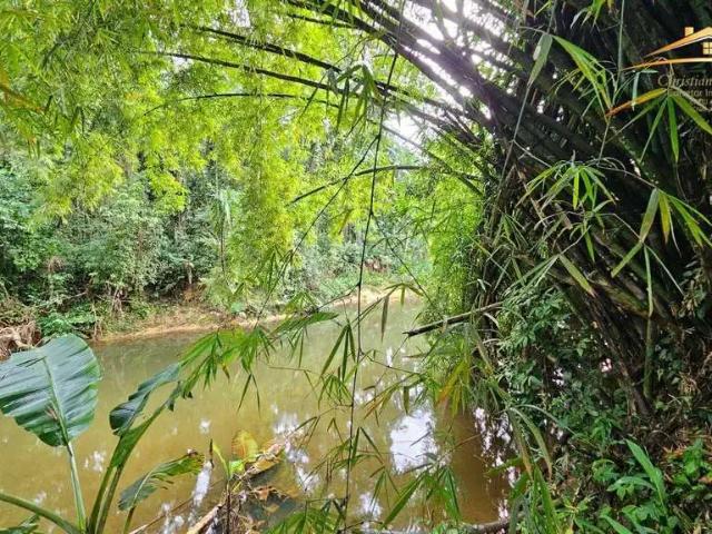 Sítio e chácara venda em Região Geográfica Imediata de Paranaguá, Morretes