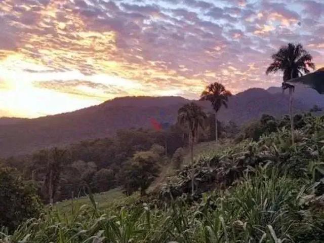Sítio e chácara venda em Região Geográfica Imediata de Paranaguá, Morretes