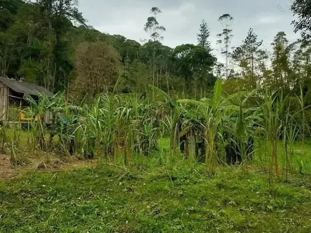 Sítio e chácara venda em Região Geográfica Imediata de Paranaguá, Morretes