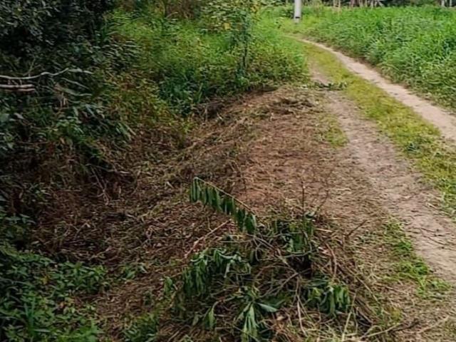 Sítio e chácara venda em Região Geográfica Imediata de Paranaguá, Morretes