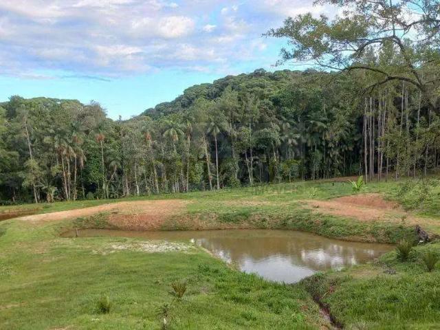 Sítio e chácara venda em Região Geográfica Imediata de Paranaguá, Morretes