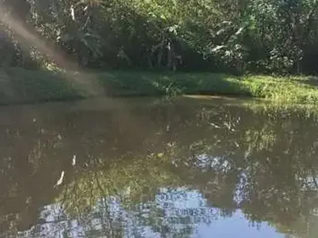 Sítio e chácara venda em Região Geográfica Imediata de Paranaguá, Morretes