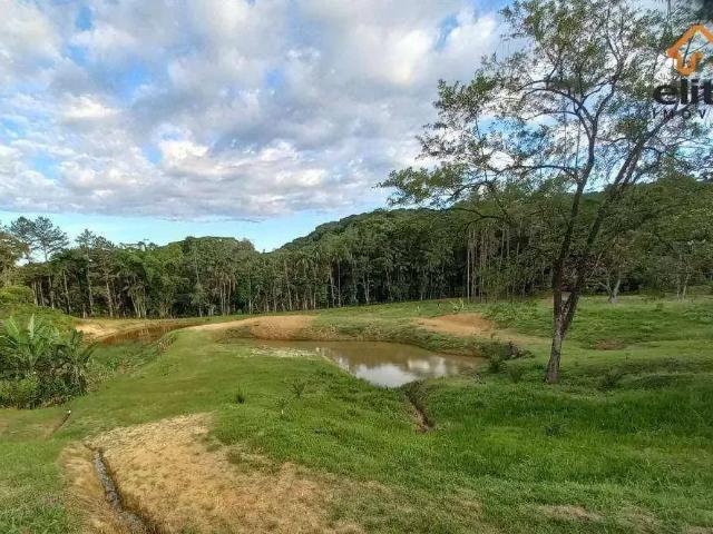 Sítio e chácara venda em Região Geográfica Imediata de Paranaguá, Morretes