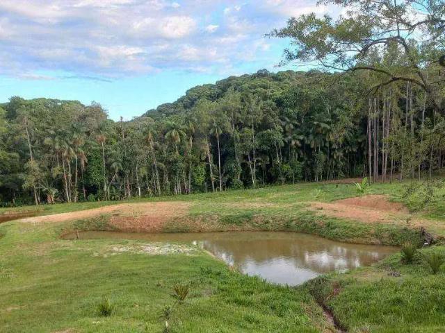 Sítio e chácara venda em Região Geográfica Imediata de Paranaguá, Morretes