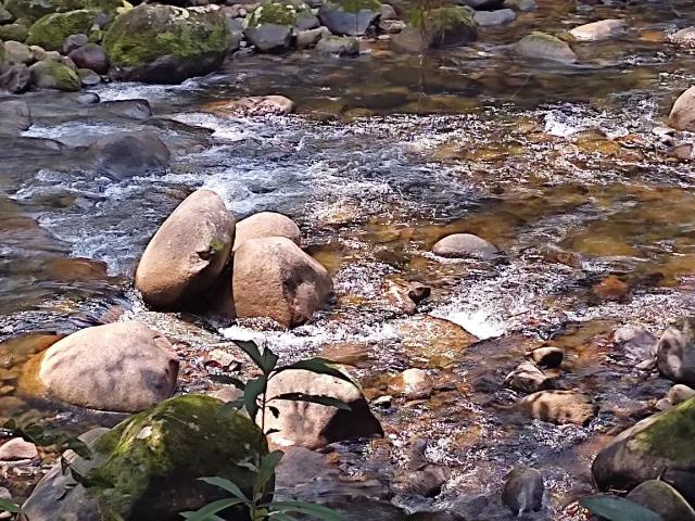 Sítio e chácara venda em Região Geográfica Imediata de Paranaguá, Morretes