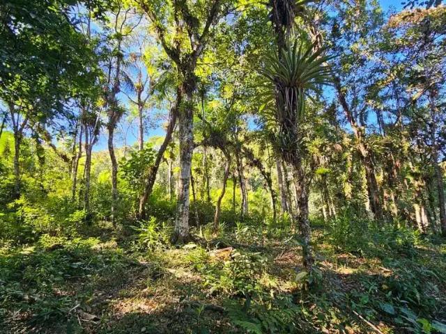 Sítio e chácara venda em Região Geográfica Imediata de Paranaguá, Morretes