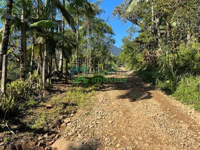 Sítio e chácara venda em Bom Jardim, Morretes