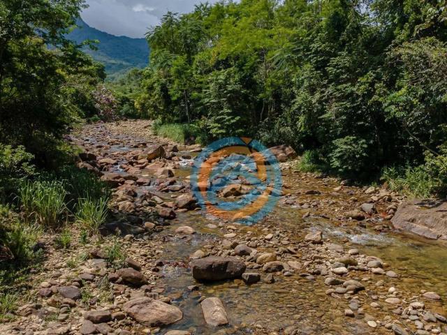 Sítio e chácara venda em Região Geográfica Imediata de Paranaguá, Morretes