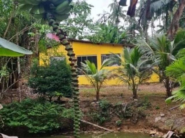 Sítio e chácara venda em Bom Jardim, Morretes