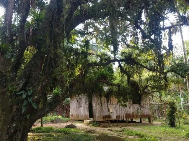 Sítio e chácara venda em Região Geográfica Imediata de Paranaguá, Morretes