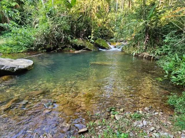 Sítio e chácara venda em Região Geográfica Imediata de Paranaguá, Morretes