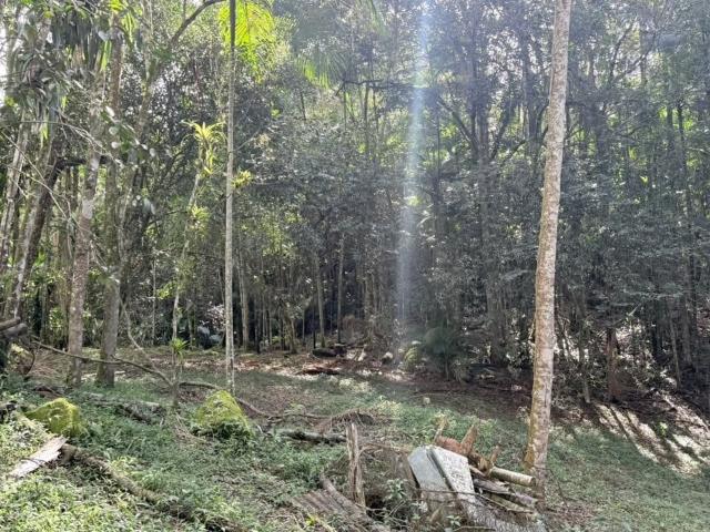 Sítio e chácara venda em Região Geográfica Imediata de Paranaguá, Morretes