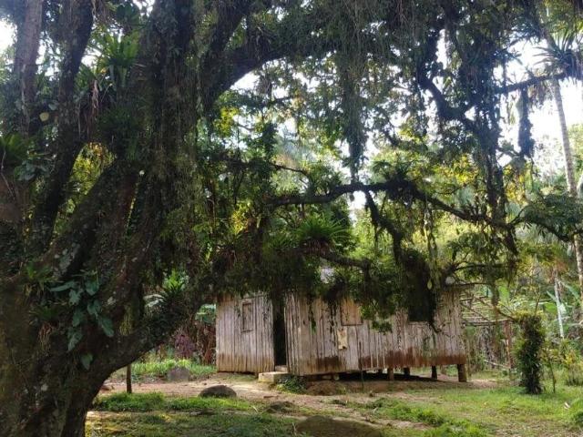 Sítio e chácara venda em Rocio, Morretes