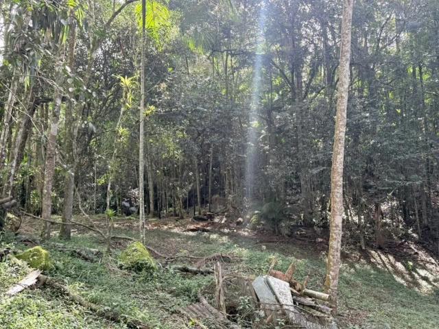 Sítio e chácara venda em Rocio, Morretes