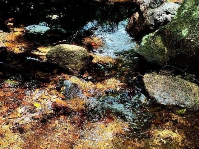 Sítio e chácara venda em Rocio, Morretes