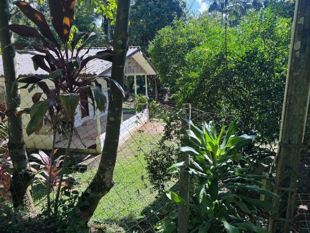 Sítio e chácara venda em Rocio, Morretes