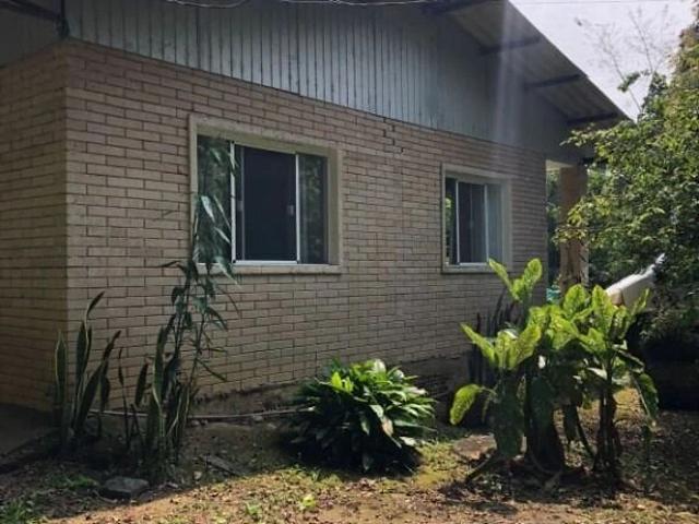 Sítio e chácara venda em Rocio, Morretes