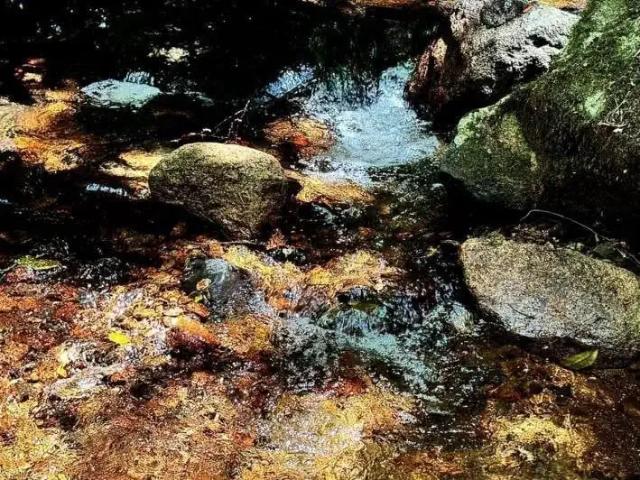Sítio e chácara venda em Região Geográfica Imediata de Paranaguá, Morretes
