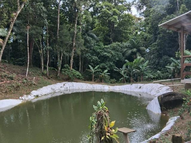 Sítio e chácara venda em Bom Jardim, Morretes