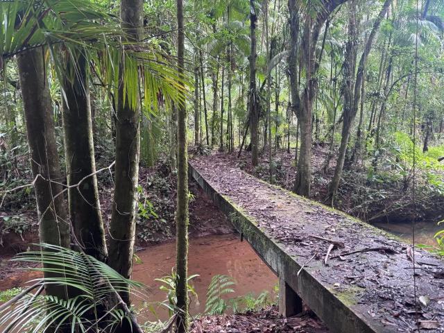 Sítio e chácara venda em Região Geográfica Imediata de Paranaguá, Morretes