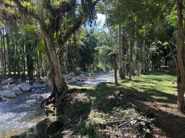 Sítio e chácara venda em Região Geográfica Imediata de Paranaguá, Morretes