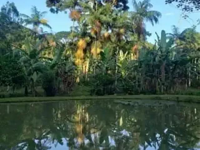 Sítio e chácara venda em Região Geográfica Imediata de Paranaguá, Morretes