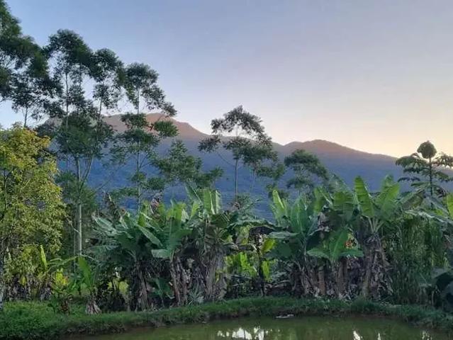 Sítio e chácara venda em Região Geográfica Imediata de Paranaguá, Morretes