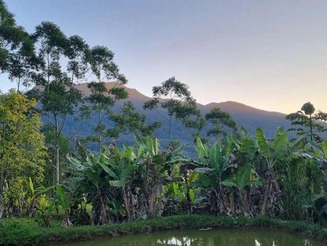 Sítio e chácara venda em Rocio, Morretes