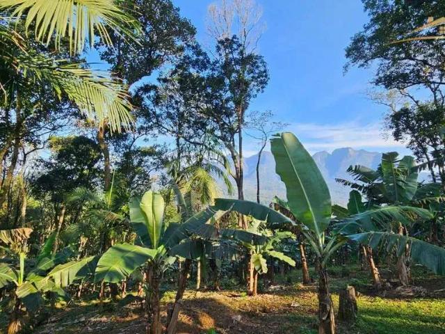 Sítio e chácara venda em Região Geográfica Imediata de Paranaguá, Morretes