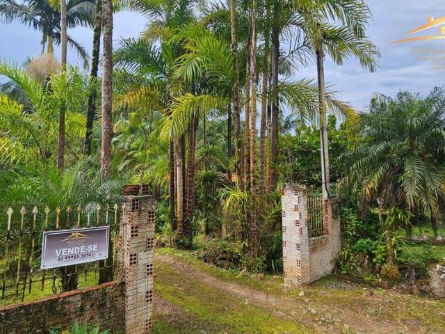 Sítio e chácara venda em Raia Velha, Morretes