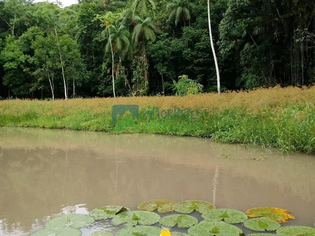 Sítio e chácara venda em Morretes, Região Geográfica Intermediária de Curitiba
