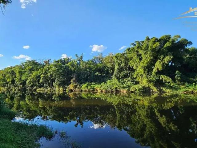 Sítio e chácara venda em Região Geográfica Imediata de Paranaguá, Morretes