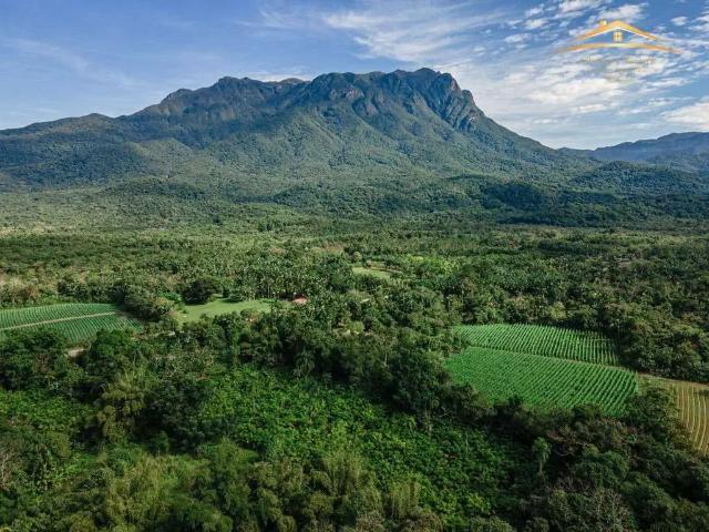 Sítio e chácara venda em Região Geográfica Imediata de Paranaguá, Morretes