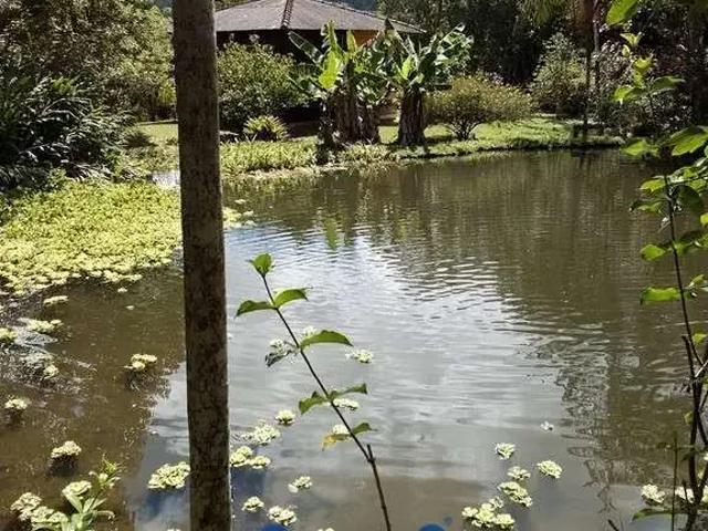 Sítio e chácara venda em Região Geográfica Imediata de Paranaguá, Morretes