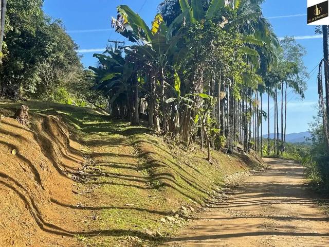 Sítio e chácara venda em Região Geográfica Imediata de Paranaguá, Morretes