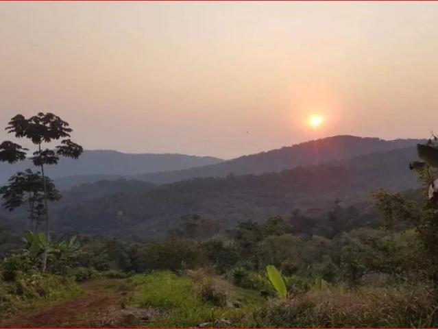 Sítio e chácara venda em Rocio, Morretes