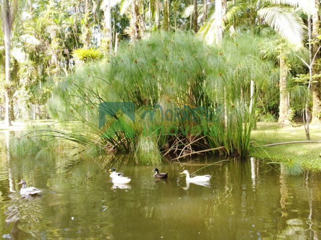 Sítio e chácara venda em Rocio, Morretes