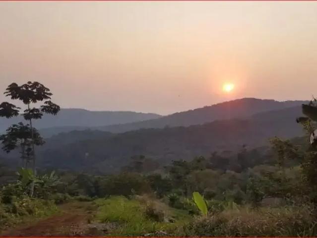 Sítio e chácara venda em Região Geográfica Imediata de Paranaguá, Morretes