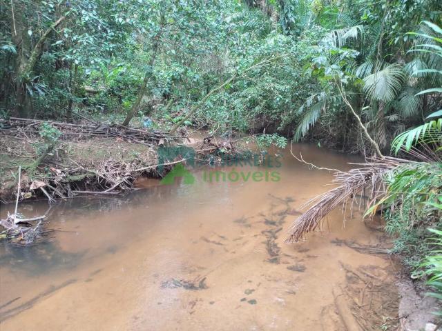 Sítio e chácara venda em Rocio, Morretes