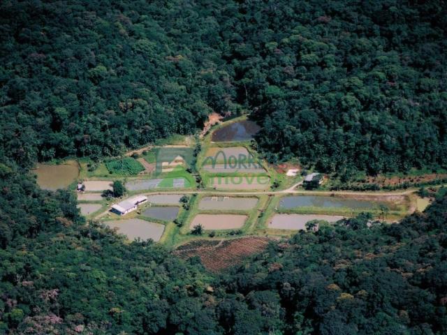 Sítio e chácara venda em Morretes, Região Geográfica Intermediária de Curitiba