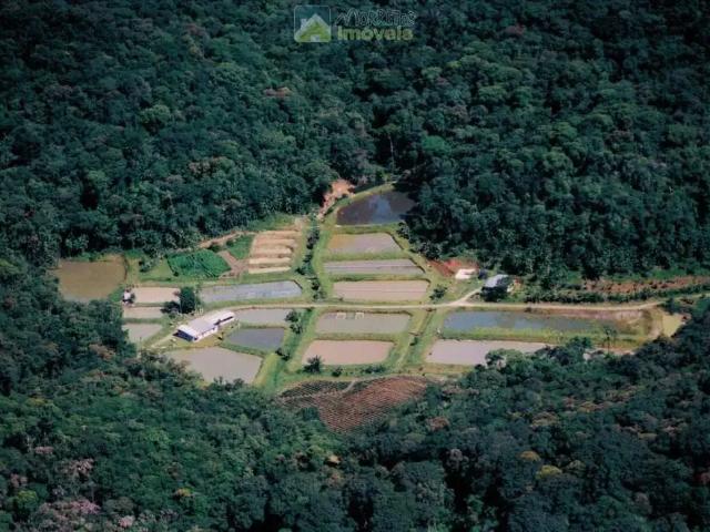Sítio e chácara venda em Região Geográfica Imediata de Paranaguá, Morretes