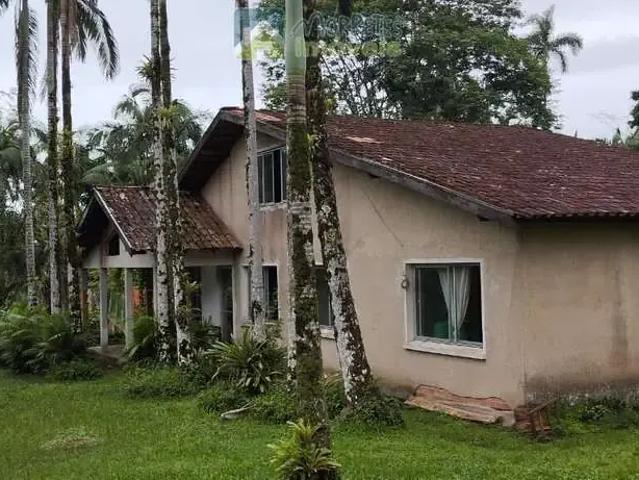 Sítio e chácara venda em Região Geográfica Imediata de Cruz Alta, Cruz Alta