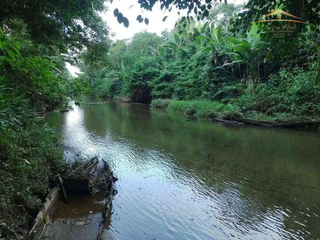 Sítio e chácara venda em Região Geográfica Imediata de Paranaguá, Morretes
