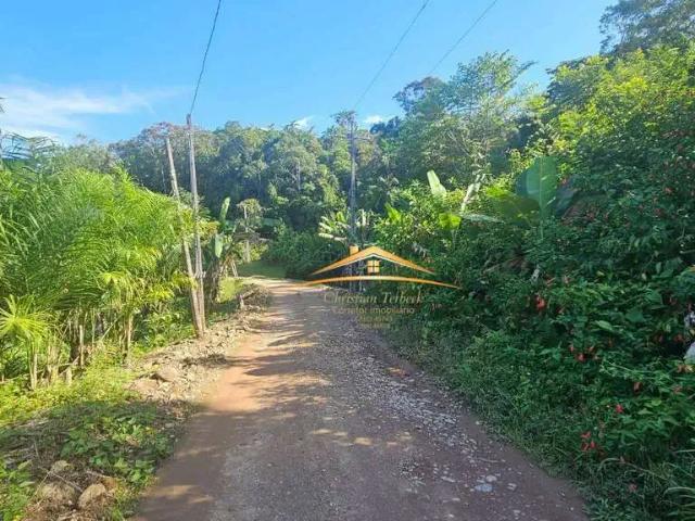 Sítio e chácara venda em Região Geográfica Imediata de Paranaguá, Morretes
