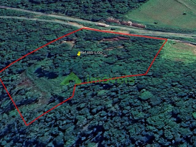 Sítio e chácara venda em Rocio, Morretes
