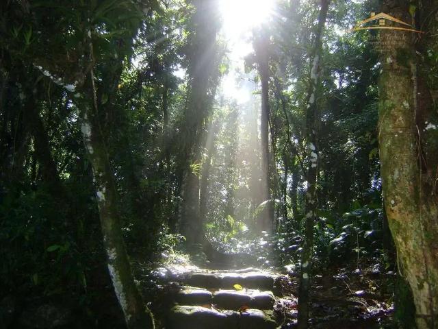 Sítio e chácara venda em Região Geográfica Imediata de Paranaguá, Morretes