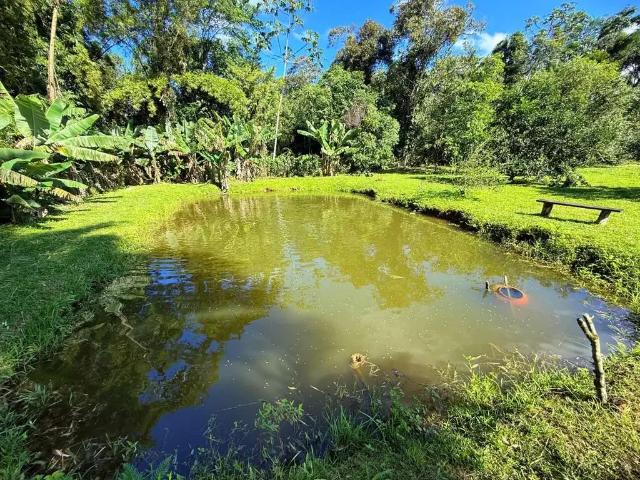 Sítio e chácara venda em Região Geográfica Imediata de Paranaguá, Morretes