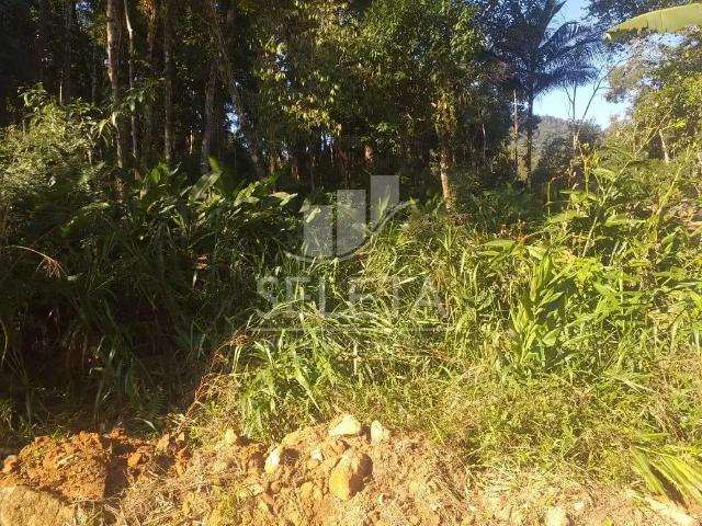 Sítio e chácara venda em Região Geográfica Imediata de Paranaguá, Morretes